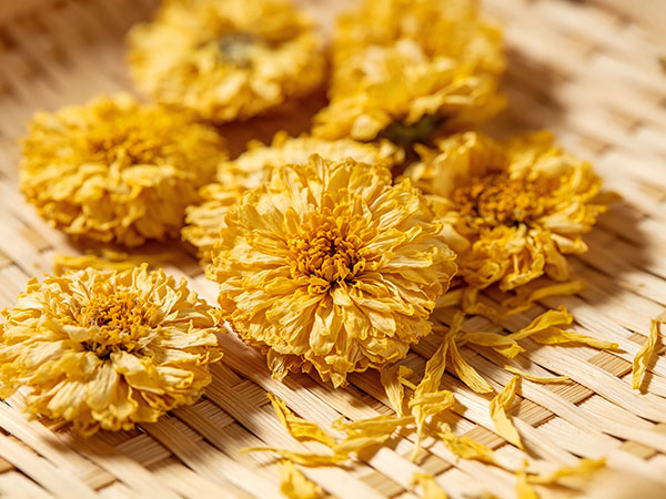 Chrysanthemum flowers